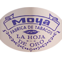 MOYA CASADORES