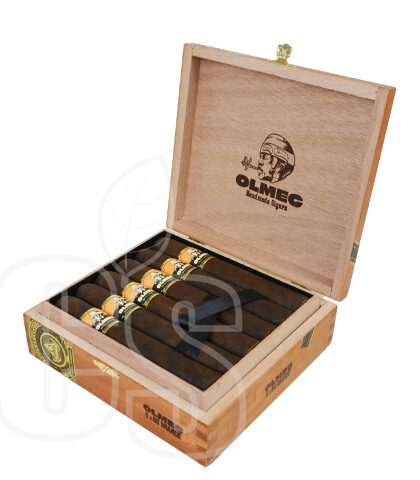 FOUNDATION - OLMEC MADURO GRANDE