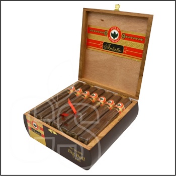 JOYA DE NICARAGUA ANTANO BIG BULL