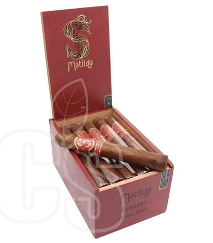 MATILDE RENACER TORO BRAVO