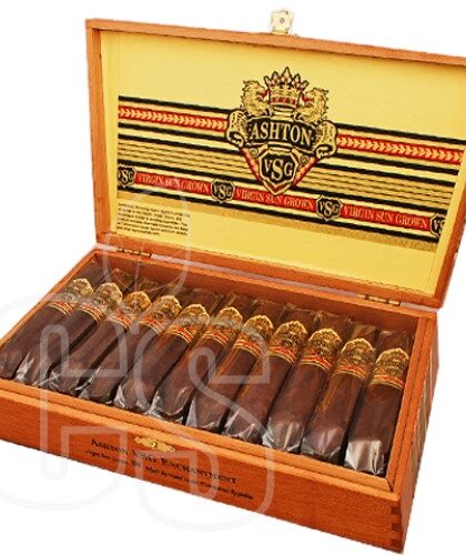 ASHTON VSG ENCHANTMENT