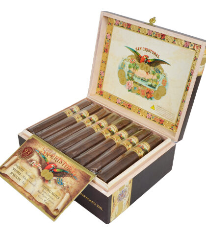 SAN CRISTOBAL PAPAGAYO XXL