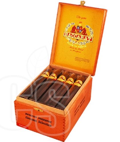 BACCARAT BELICOSO MADURO