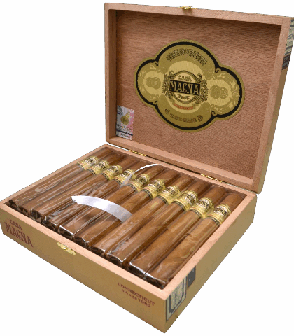 CASA MAGNA CONNECTICUT TORO 20X