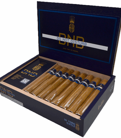ALEC BRADLEY DO NOT DISTURB TORO 16X