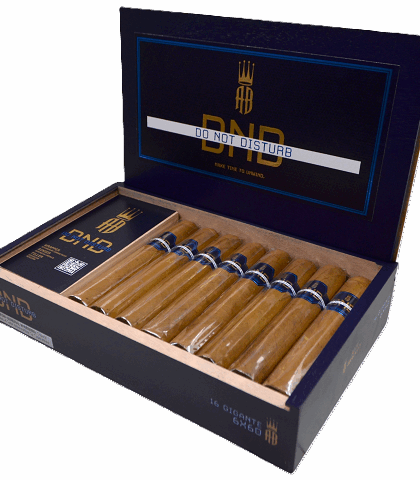 ALEC BRADLEY DO NOT DISTURB GIGANTE 16X