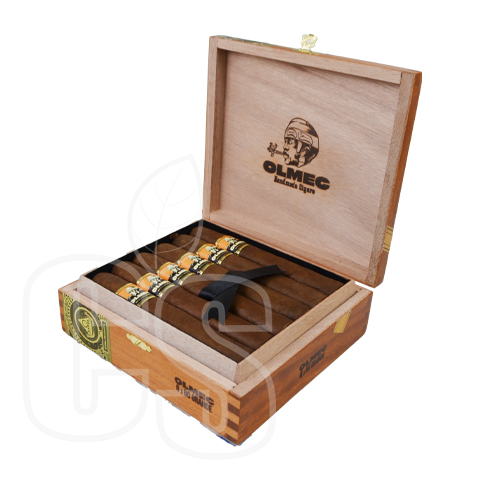 FOUNDATION - OLMEC CLARO GRANDE