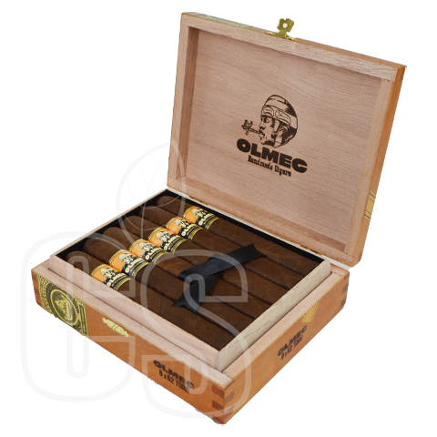 FOUNDATION - OLMEC CLARO TORO