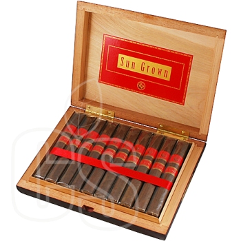 ROCKY PATEL SUN GROWN ROBUSTO