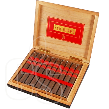 ROCKY PATEL SUN GROWN TORPEDO