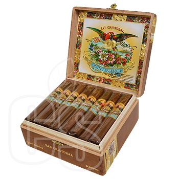 SAN CRISTOBAL QUINTESSENCE BELICOSO