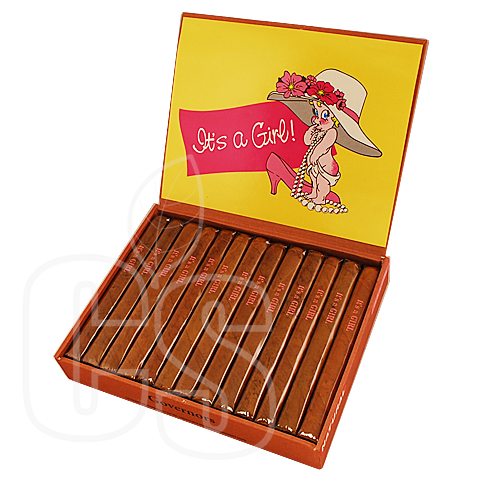 NAT CICCO GOVERNOR IT’S A GIRL