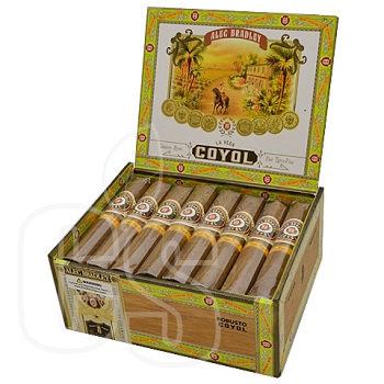 ALEC BRADLEY COYOL ROBUSTO