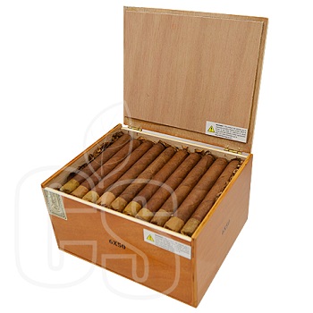 GRAN HABANO PERSIAN KING TIGER RAJAH