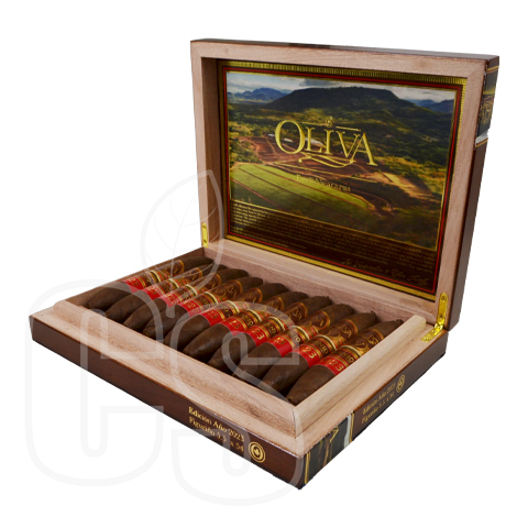 OLIVA V MELANIO ANO 2024 ROUND