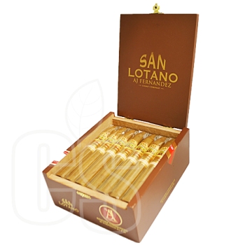 SAN LOTANO CONNECTICUT TORPEDO