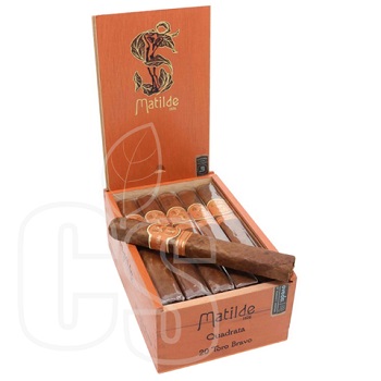 MATILDE QUADRATA TORO BRAVO