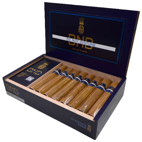 ALEC BRADLEY DO NOT DISTURB GIGANTE 16X