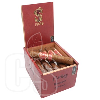 MATILDE RENACER ROBUSTO