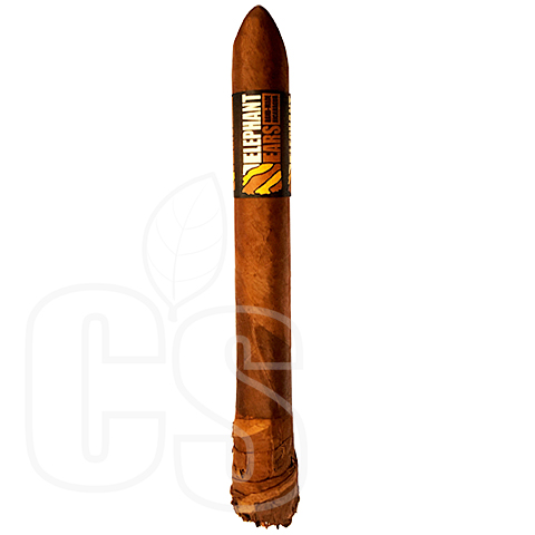 ELEPHANT EAR (SINGLE)