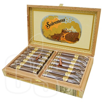 SOBREMESA SHORT TORPEDO