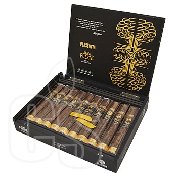 PLASENCIA 1865 ALMA FUERTE SIXTO II