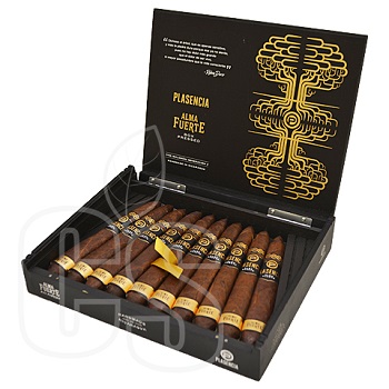 PLASENCIA 1865 ALMA FUERTE GENERACION V (SALOMON)