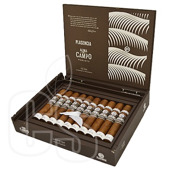 PLASENCIA ALMA DEL CAMPO MADRONO