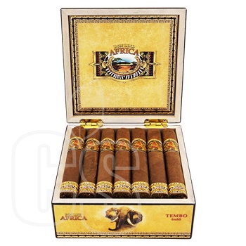 DON LINO AFRICA TEMBO