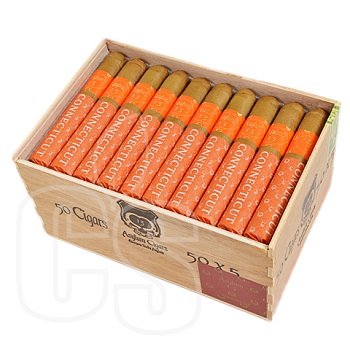 ASYLUM 13 CONNECTICUT 5 x 50