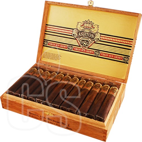 ASHTON VSG BELICOSO #1