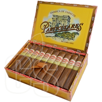 PARTICULARES ROBUSTO