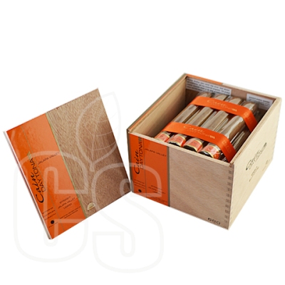 CAIN DAYTONA 660 DOUBLE TORO