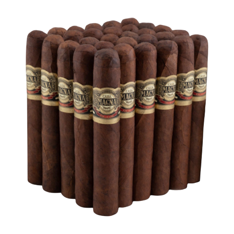 CASA MAGNA COLORADO GRAN TORO BUNDLE