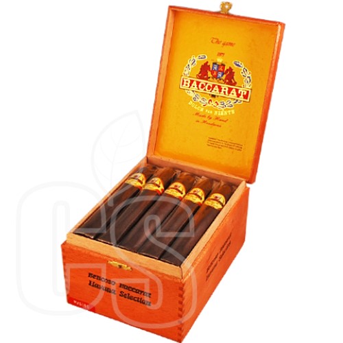 BACCARAT BELICOSO MADURO
