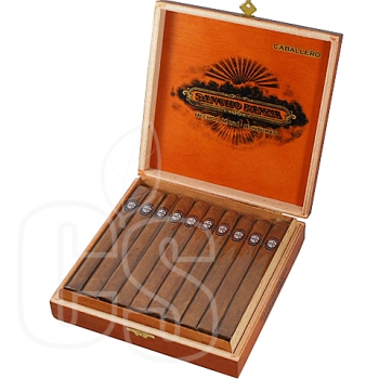 SANCHO PANZA CABALLERO