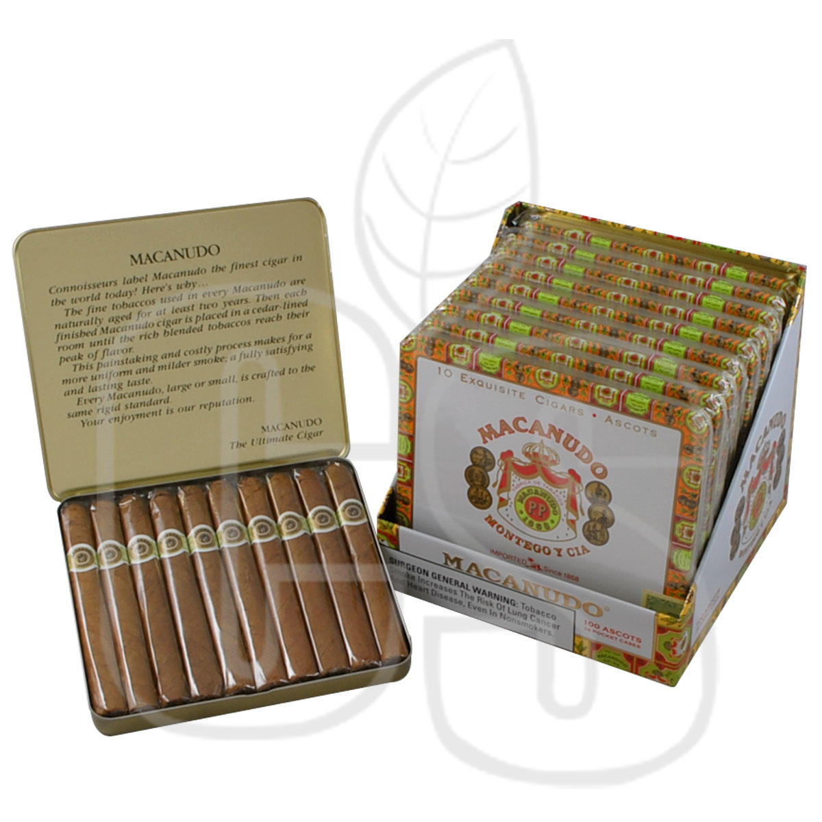 MACANUDO CAFE ASCOTS
