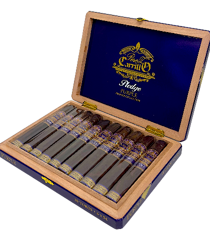 CASA CARRILLO PLEDGE PURPLE TORO